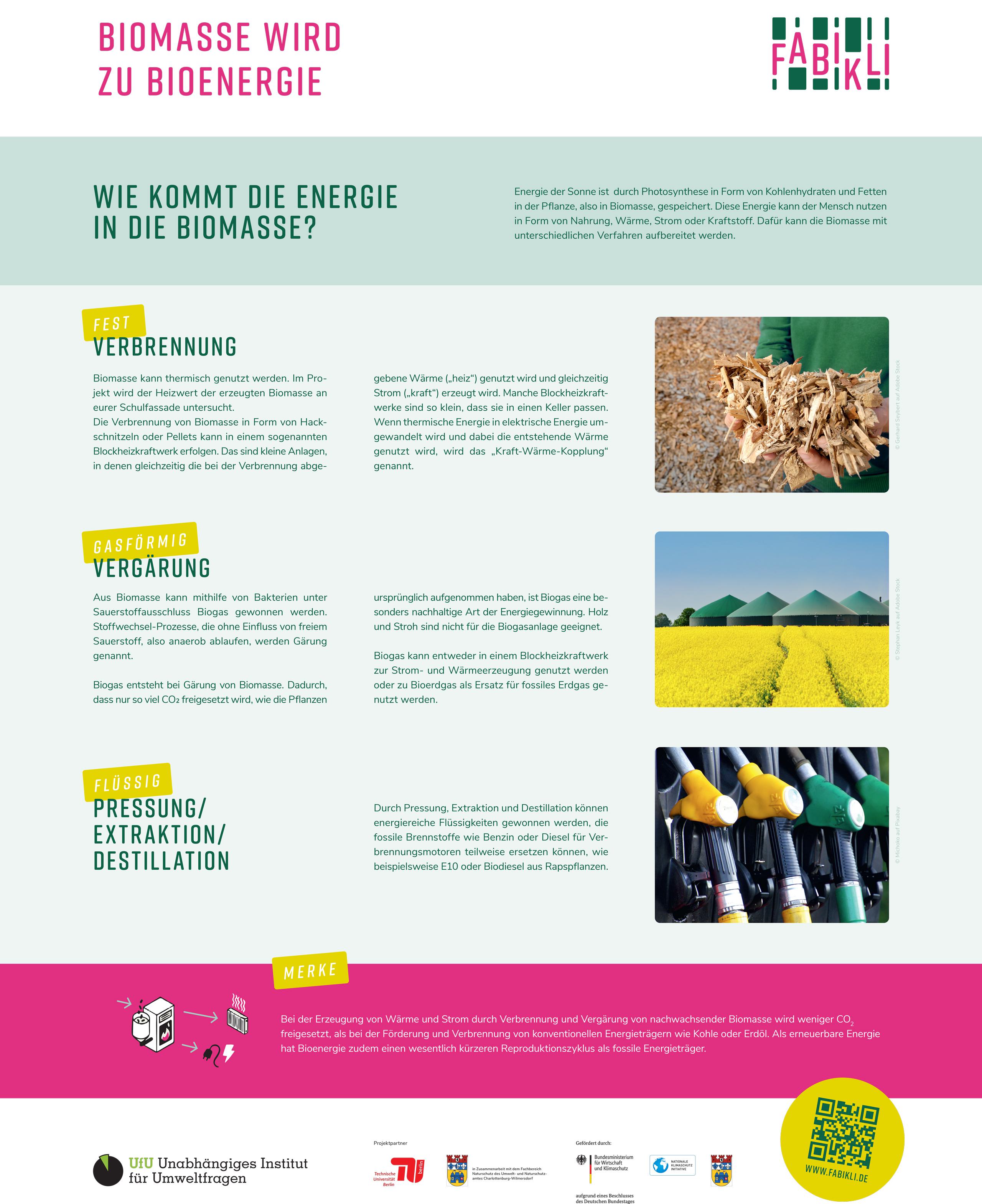 Biomasse wird zu Bioenergie