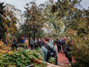 Ernte der Fassadenbegrünung am FaBiKli Aktionstag