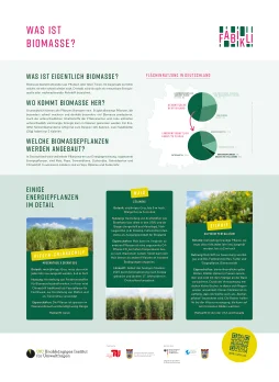Was ist Biomasse? (PDF-Vorschau)