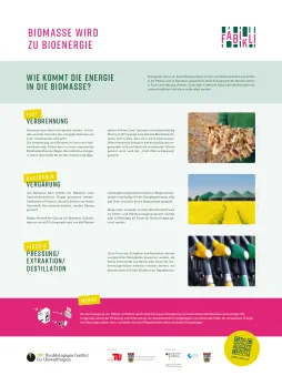 Biomasse wird zu Bioenergie (PDF-Vorschau)